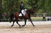 Jean_Lilou_Castres