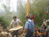 corv�e de bois