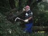 corv�e de bois