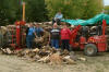 corv�e de bois