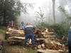 corv�e de bois