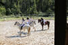 f�te du cheval 2011