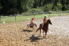 f�te du cheval 2011