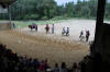 f�te du cheval 2011