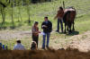 f�te du cheval 2011