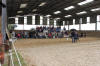f�te du cheval 2011