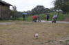 f�te du cheval 2011