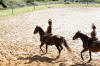 f�te du cheval 2011