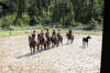 f�te du cheval 2011