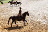 f�te du cheval 2011