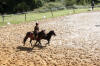 f�te du cheval 2011