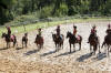 f�te du cheval 2011