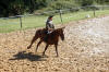 f�te du cheval 2011