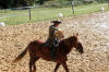 f�te du cheval 2011