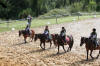 f�te du cheval 2011
