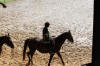f�te du cheval 2011