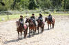 f�te du cheval 2011