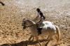 f�te du cheval 2011