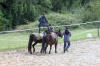 f�te du cheval 2011