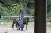 f�te du cheval 2011
