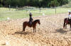 f�te du cheval 2011