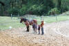 f�te du cheval 2011