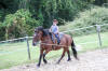 f�te du cheval 2011