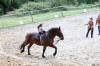 f�te du cheval 2011
