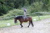 f�te du cheval 2011