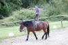 f�te du cheval 2011
